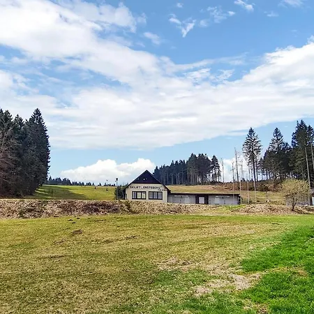 Holiday home 2 Bedroom In Masserberg *